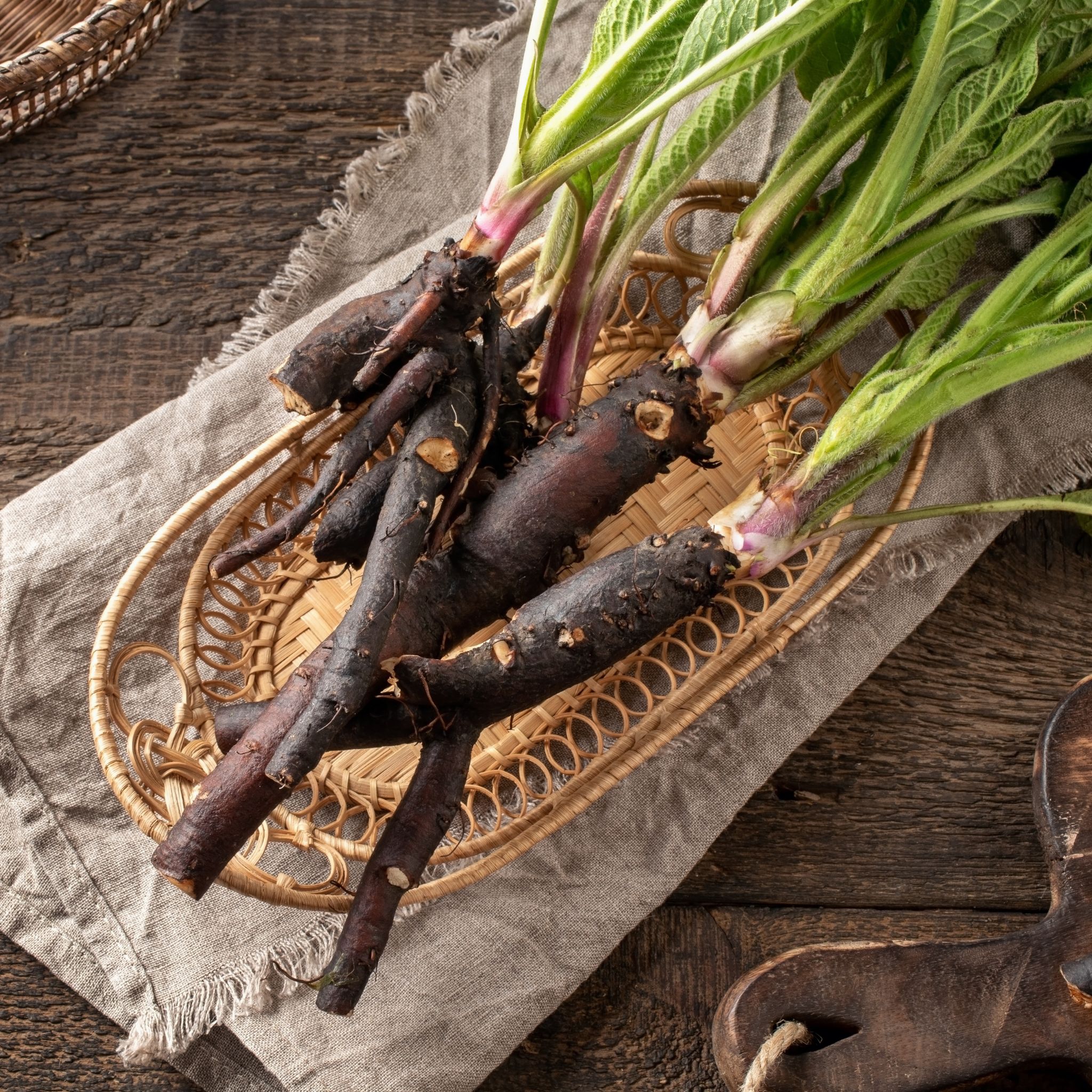 Foglie e radici estratte