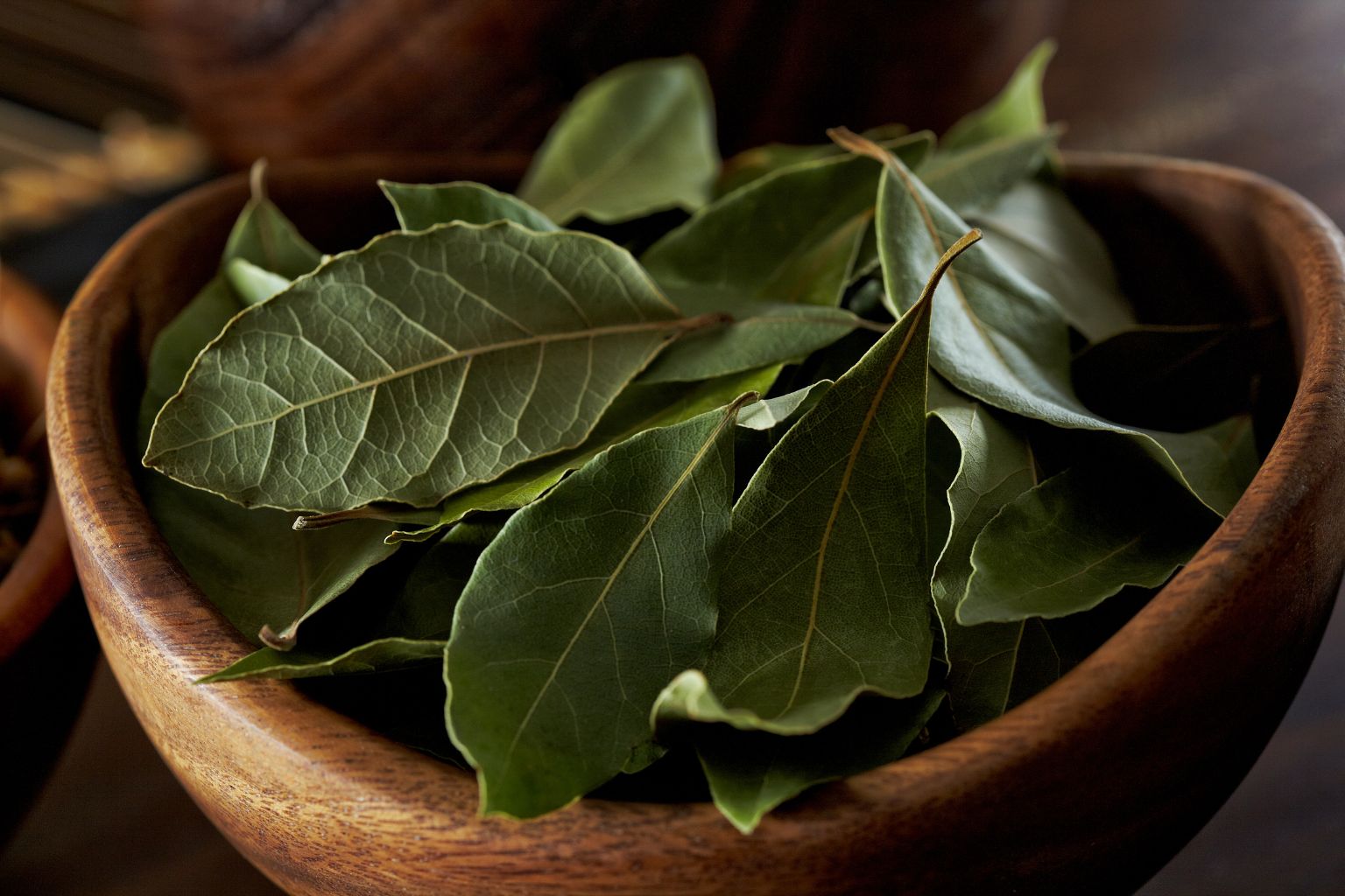 Foglie fresche di Laurus nobilis su superficie di legno